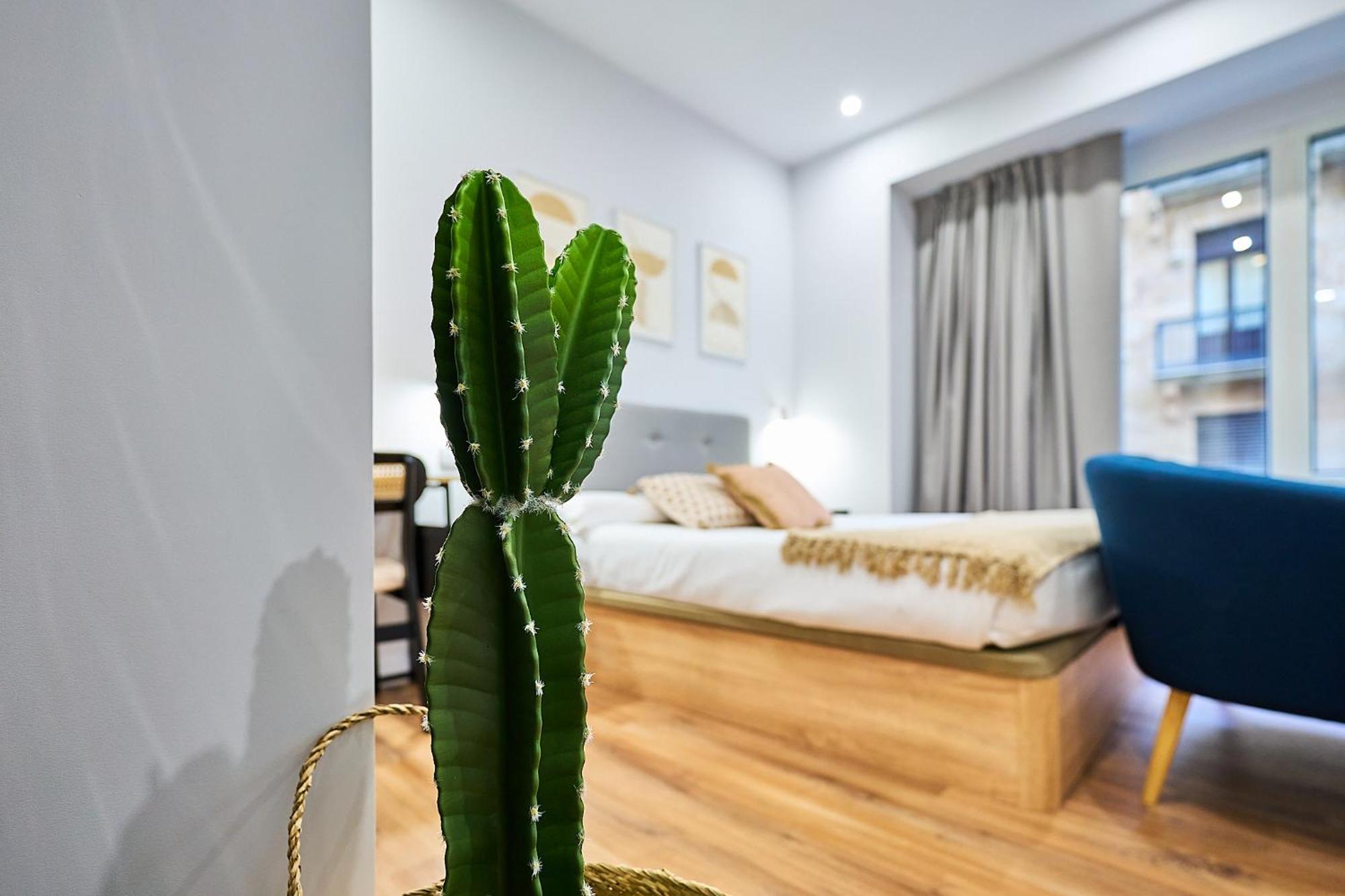 Apartamentos Esperanza By Gaiarooms Salamanca Eksteriør bilde